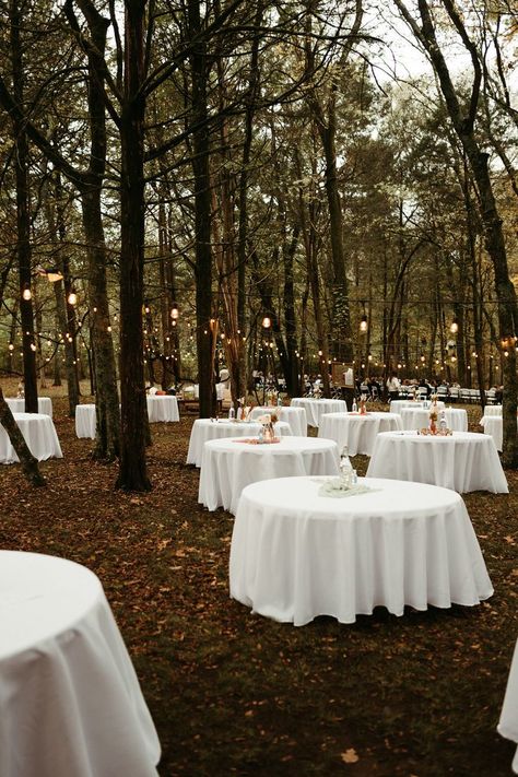 Forrest Weddings Small, Woodsy Themed Wedding, Twilight Wedding Ideas, Fairy Wedding Theme Enchanted Forest, Woodsy Reception, Photo Area Ideas, Simple Forest Wedding, Twilight Wedding Theme, Twilight Themed Wedding