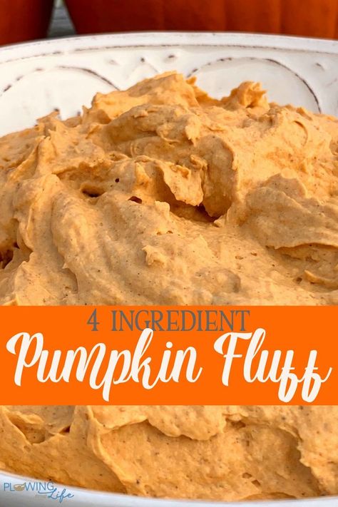 Pumpkin Fluff Pie, Pumpkin Fluff Dip, Pumpkin Dip Recipe, Healthy Pumpkin Dessert, Pumpkin Fluff, Whipped Pumpkin, Cool Whip Desserts, Pumpkin Dip, No Bake Pumpkin Pie