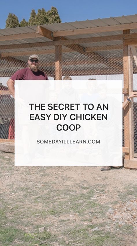 This one secret makes all the difference in the world when it comes to building a chicken coop. Do It Yourself Chicken Coop How To Build, Heavy Duty Chicken Coop, Building A Chicken Coop Cheap, Easy Chicken Shelter, How To Build A Cheap Chicken Coop, Chicken Coop For 50 Chickens Ideas, Chicken Run Lean To, Diy Chicken Coop 20 Chickens, Easy And Cheap Chicken Coop