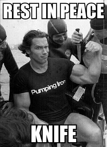 RIP Gym Memes, Arnold Photos, Arnold Schwarzenegger Bodybuilding, Schwarzenegger Bodybuilding, Bodybuilding Pictures, Pumping Iron, Celebrity List, Actrices Hollywood, Body Builder