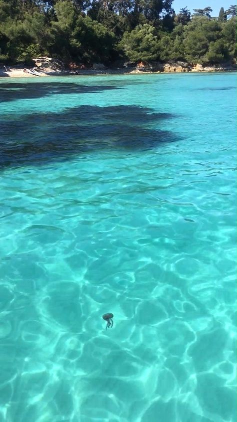 @paradiseplacesonearth • Instagram photos and videos . . . . . . . .Crystal Clear Waters in Lérins islands #ilesdelerins #cannestourism #cannes #IlesainteMarguerite #Lerinsislands #cotedazur #SouthofFrance #beaches #Travel #islands Tirol, Beach In France, Island Of Adventure Orlando, Water Island, Ocean Springs, Beach Images, Islands Of Adventure, Secluded Beach, Tropical Beaches