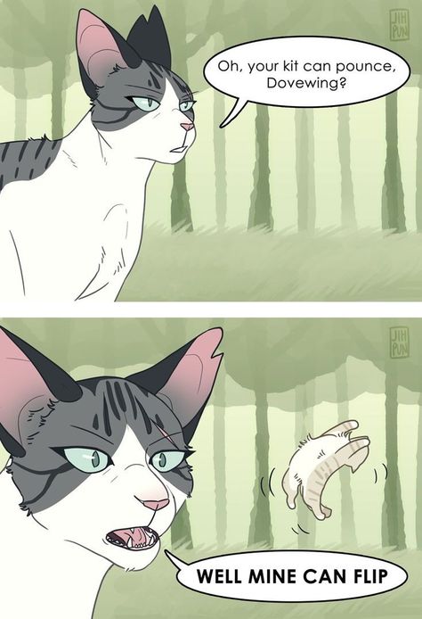 warrior cats meme Ivypool Warrior Cats, Dovewing Warrior Cats, Warrior Cats Ivypool, Ivypool And Dovewing, Warriors Memes, Warrior Cats Funny, Warrior Cat Memes, Warrior Cats Comics, Warrior Cats Series