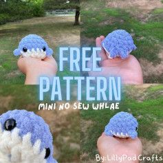 free pattern mini no sew whlae whale Amigurumi Patterns, Easy Crochet Patterns Free Beginners, Crochet Project Free, Crochet Whale, Lilly Pad, Crochet Market, Instagram Pattern, Easy Crochet Animals, Whale Pattern