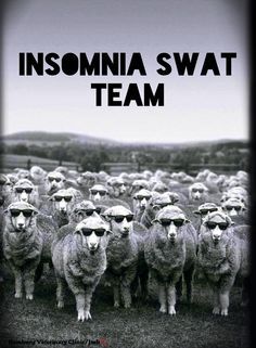 Cant Sleep Quotes, Insomnia Funny, Insomnia Quotes, Insomnia Tips, Sleep Quotes Funny, Sleep Meme, Sleep Quotes, Swat Team, Need Sleep