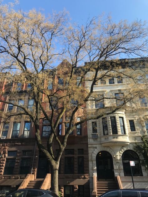 Old Nyc Apartment Aesthetic, Nyc Apartment Aesthetic Vintage, Brownstone Apartment Nyc, Lower East Side Nyc Aesthetic, Manhattan Apartment Aesthetic, Brownstone Aesthetic, Future Home Aesthetic, Lower East Side Aesthetic, East Side Aesthetic