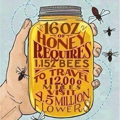 The ultimate guide on how can you save the bees & brands on a mission #pollinators #bees #savingbees Pollinator Garden Design, Animal Crossing Amiibo Cards, Bee Facts, Raising Bees, Chicken Tractors, Bee Colony, I Love Bees, Worm Composting, Bee Farm