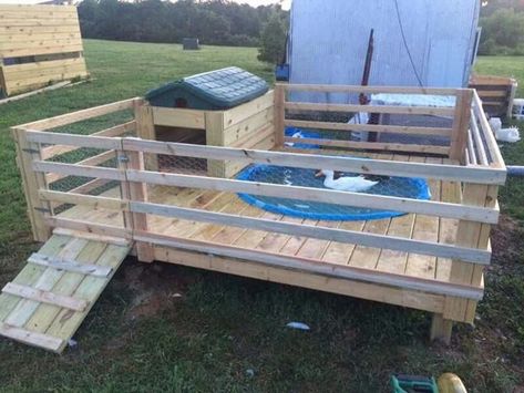 25+ best ideas about Duck Pens on Pinterest | Duck coop ... | Duck coop ... Diy Duck Pen, Duck Coop Ideas Diy, Chicken And Duck Coop, Coop Ideas Diy, Duck Coop Ideas, Silkie Chickens Coop, Duck Enclosure, Duck Pen, Duck House Plans