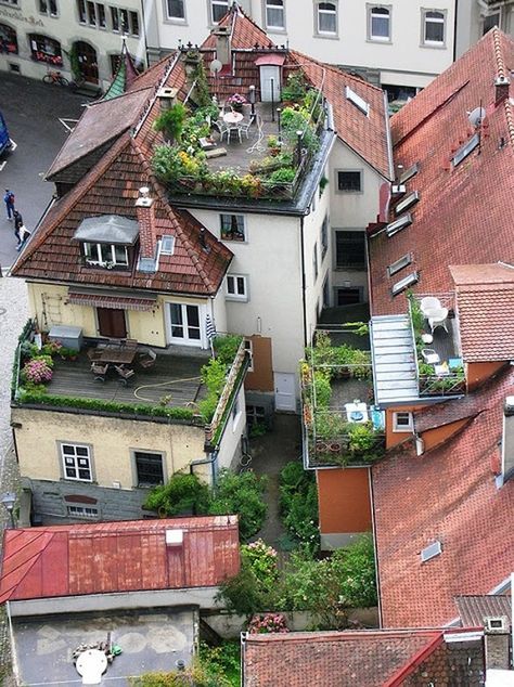 7 Signs You're in Need of a Roof Restoration Peisaj Urban, Banquette Design, Bangunan Minecraft, Rooftop Deck, Rooftop Garden, City Garden, Rooftop Terrace, Roof Garden, Green Roof