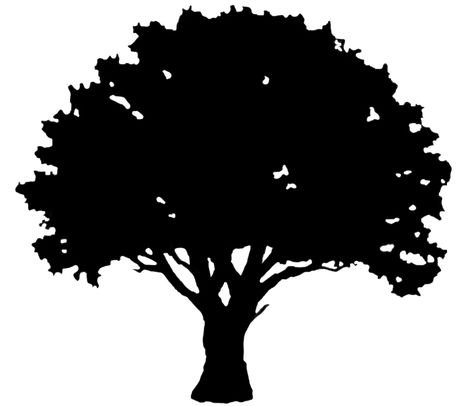 Tree Silhouette Printable, Oak Tree Silhouette Tattoo, Oak Tree Logo Design, Oak Tree Silhouette, Black Oak Tree, Tree Silhouette Tattoo, Pine Tattoo, White Oak Tree, Oak Tree Tattoo