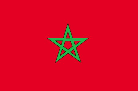 Tangier, Moroccan Flag, Funny Flags, Morocco Flag, Wooden Staff, Seal Of Solomon, Pillars Of Islam, Flag Coloring Pages, Solomons Seal