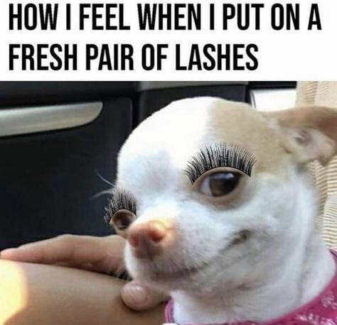 Sonias Board ٩(˘◡˘ )⊰ Eyelash Meme, Lash Quotes, Eye Lash Packaging, Makeup Step By Step, Eyelash Packaging, 3d Lashes, Beautiful Lashes, Fake Lashes, Faux Mink Lashes