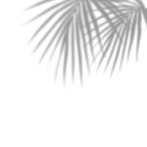 Plant Website, Palm Shadow, Plant Shadow, Leaves Shadow, Shadow Png, Leaf Shadow, Leaf Png, Checkered Background, Leaves And Branches