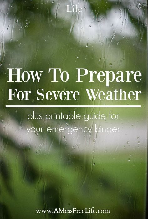 Amigurumi Patterns, Emergency Preparation, Severe Weather Preparedness, Preparedness Plan, Dollar Diy, No Time Like The Present, Disaster Plan, Emergency Binder, Evacuation Plan