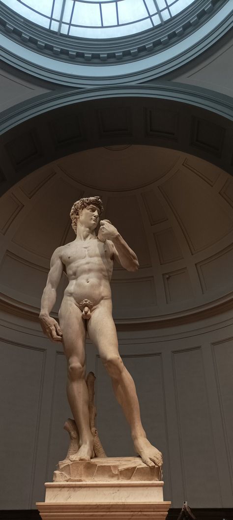 Art, Wallpapers, David Michelangelo Art, David By Michelangelo, Michelangelo David, David Michelangelo, Michelangelo Art, Quick Saves