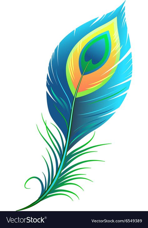 Peacock Feathers Png, Peackok Feather Drawing, Peacock Feather Template, Peacock Drawing Images, Peacock Feather Logo, Peacock Feather Vector, Feather Art Drawing, Tattoo Plume, Peacock Wings