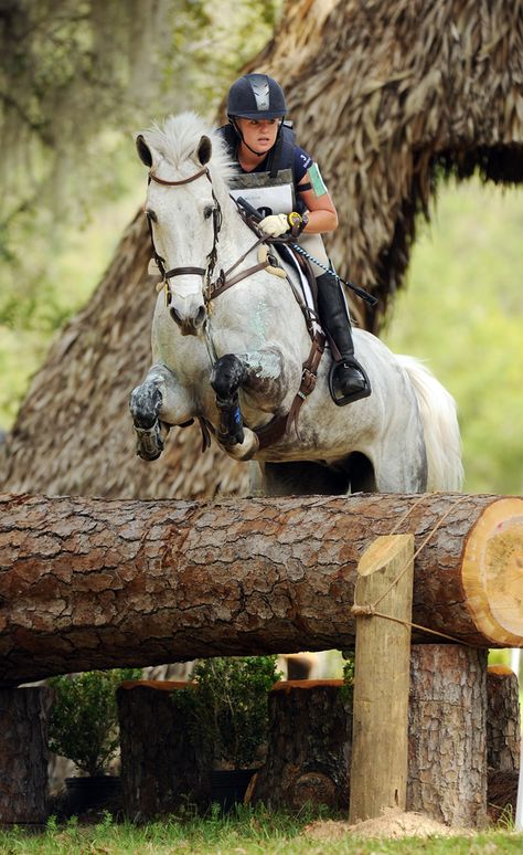 Eventing Cross Country, Connemara Pony, Cross Country Jumps, Cai Sălbatici, Horse Trials, Eventing Horses, Horse Boarding, Sport Horse, Horse Blankets