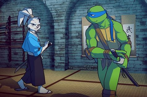 Usagi and leo Leo X Usagi Tmnt 2003, Rottmnt Leo X Usagi, Tmnt Brothers, Tmnt 03, Tmnt Leo, Usagi Yojimbo, Leonardo Tmnt, Teenage Mutant Ninja Turtles Artwork, Friendly Match