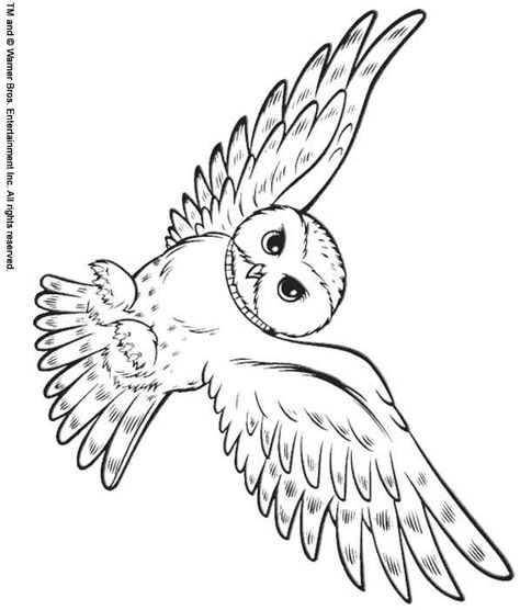 back ♥ Print this Snowy Owl color page Animal coloring pages ... Snowy Owl Coloring Page, Hedwig Printable, Face Coloring Pages, Owl Coloring Page, Harry Potter Party Favors, Owl Coloring, Harry Potter Theme Birthday, Fly Drawing, Owl Printables