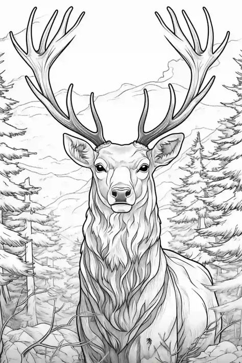 Deer Drawing Simple, Simple Deer Drawing, تصنيف الحيوانات, Reindeer Coloring Pages, Reindeer Drawing, Deer Stencil, Deer Coloring Pages, Deer Sketch, Forest Coloring Book