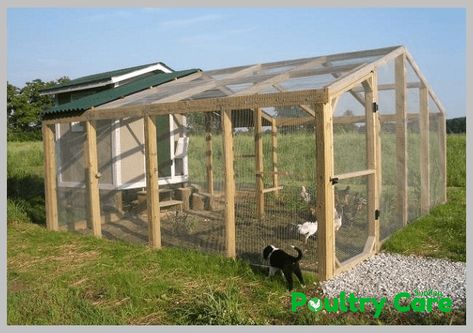 Simple Chicken Run, Chicken Run Diy, Chicken Coop Roof, Rabbit Tractor, Coop Plans Free, Chicken Run Plans, Chicken Math, Building A Chicken Run, Chicken Coop Plans Free