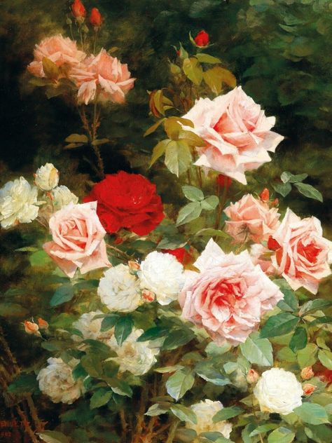 Rose Garden Still Life 18 x 24 in Rolled Canvas Print Vintage Painting Bush Digital Art, White Rose Bush, Rococo Painting, Envelope Liners Wedding, Flower Oil Painting, Vintage Cottagecore, Flower Art Images, Rose Bush, Oil Painting Flowers