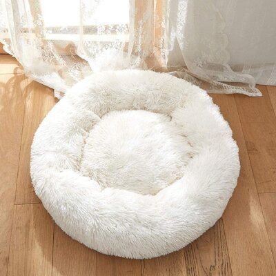 Fluffy Dog Bed Aesthetic, Cute Puppy Beds, Cute Dog Beds For Small Dogs, Dog Bed Aesthetic, Aesthetic Dog Bed, Cute Cat Beds, Dog Bed Cute, Small Dog Beds, Fluffy Dog Bed