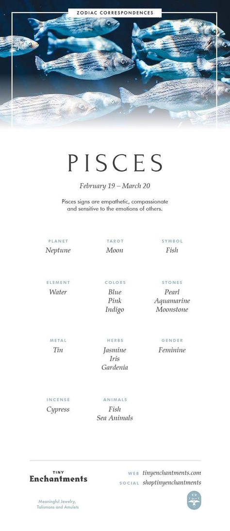 Zodia Pești, Pisces Signs, Pisces Personality, Pisces Traits, Pisces Zodiac Sign, Pisces Girl, Pisces Quotes, Pisces Love, Astrology Pisces