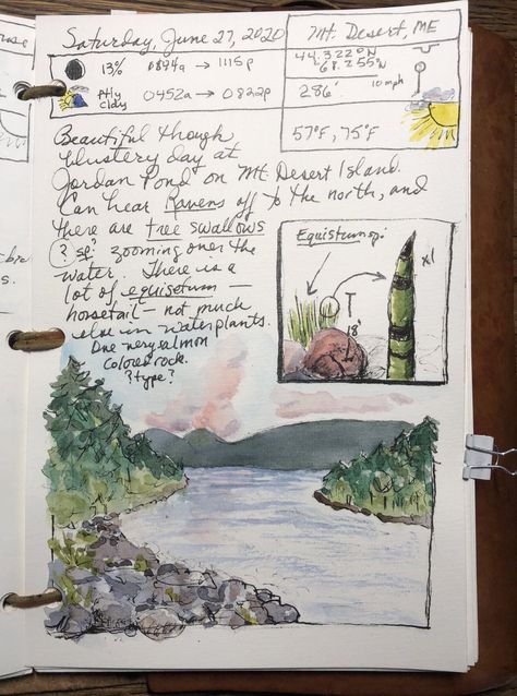 Nature Journaling for a Wild Life – Reader Page — Exploring Overland Nature, Field Notebook Nature Journal, John Muir Laws Nature Journaling, Scrapbook Ideas Nature, Field Journal Aesthetic, Nature Journal Aesthetic, Nature Journaling Ideas, Field Journal Ideas, Explorers Journal