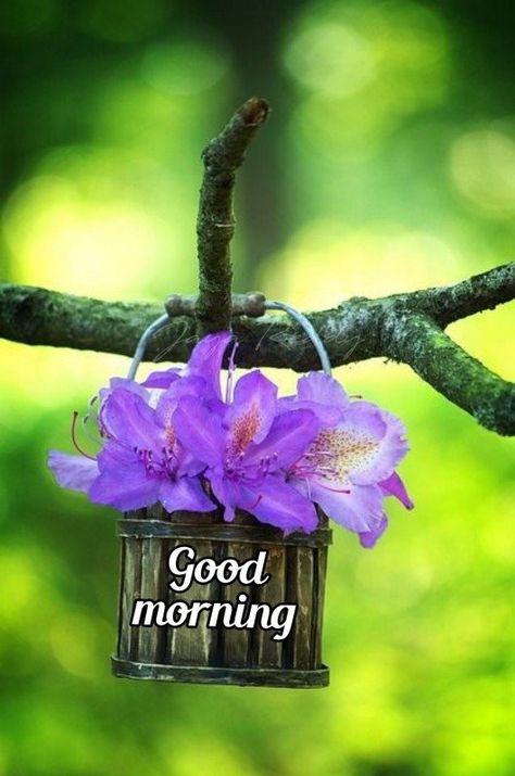 Good Morning Spring, Good Morning Messages Friends, Good Morning Image, Good Morning Pics, Good Morning Dear Friend, Lovely Good Morning Images, Lovely Morning, Beautiful Morning Quotes, Cute Good Morning Images