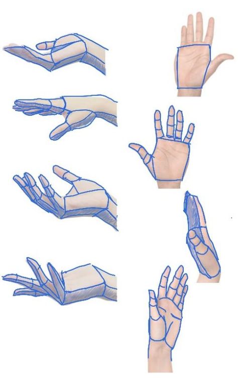 Hand Tourtial, Reaching Hand Drawing Reference, Hand Study Sketch, How To Draw Hands Reaching Out, Hands Anatomy Drawing Study, Hands Study Drawing, Bamboo Method Drawing Hands, How To Make Hands Drawing, Hand Anatomy Drawing Tutorials