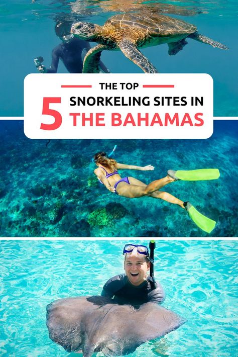 Best Diving Destinations, Things To Do In Bahamas, Bahamas Snorkeling, Bahamas Eleuthera, Bucket List Activity, Bahamas Travel Guide, Bahamas Trip, Bahamas Honeymoon, Exuma Bahamas