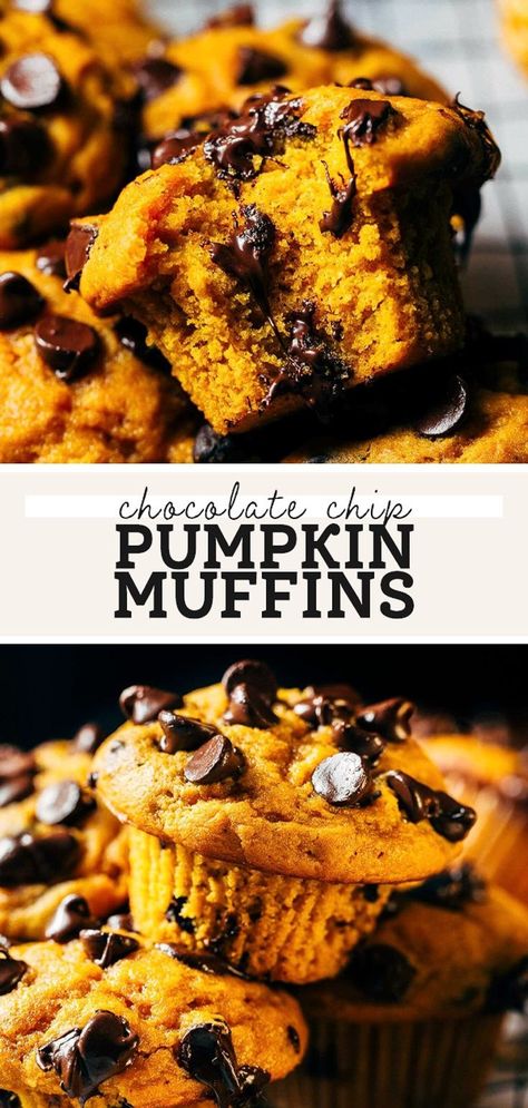 Pumpkin Chocolate Chip Muffin Recipe, Pumpkin Bread Muffins, Chocolate Chip Pumpkin Muffins, Best Chocolate Chip Muffins, Chocolate Pumpkin Muffins, Choc Chip Muffins, Butternut Bakery, Pumpkin Chip, Gluten Free Pumpkin Muffins