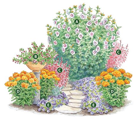 Grow a garden hummingbirds love: This simple five-plant combo will turn your garden into a hummingbird hot spot! Hummingbird Garden Plan, Grow A Garden, Butterfly Garden Design, Flower Garden Plans, Hummingbird Plants, Hummingbird Flowers, Corner Garden, Hummingbird Garden, Flower Garden Design