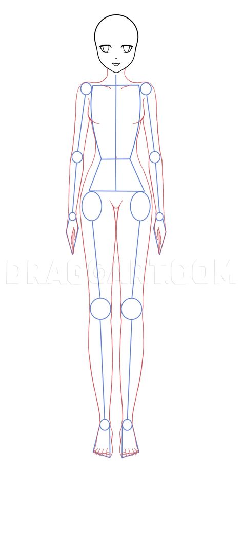 How To Draw Anime Bodies, Step by Step, Drawing Guide, by yoneyu | dragoart.com Anime Bodies, Drawing Anime Bodies, Human Body Drawing, Body Tutorial, Anime Tutorial, Body Drawing Tutorial, Body Sketches, Manga Drawing Tutorials, Human Drawing