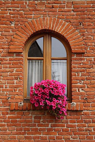 Brick Window, Pretty Windows, Decorative Windows, Simple Bouquet, Brick Arch, Window Box Flowers, Windows Me, Wooden Windows, Beautiful Windows