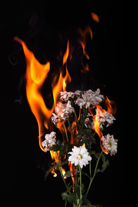 Danny Padilla, Burning Flowers, Breathing Fire, Image Moto, Fire Flower, Fire Photography, Real Fire, Fire Element, Fire Art