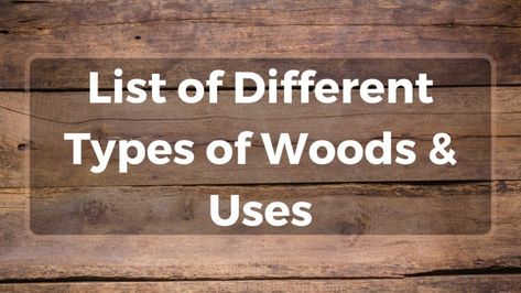 Wood is an incredibly versatile and widely used material that comes in a variety of shapes, sizes, and species. Understanding the different types of woods and their uses is essential for selecting the perfect wood for your project. In this article, we’ll take a closer look at the many different types of wood and their ... Read more Wood Types, Spoken English, Different Types Of Wood, English Tips, Zebra Wood, Cherry Wood, Types Of Wood, Furniture Making, Different Types