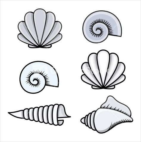 Fun #beach #seashells illustration! These #graphics would be great to use on the invitation for a summer party! They would also be great prints for your desk!