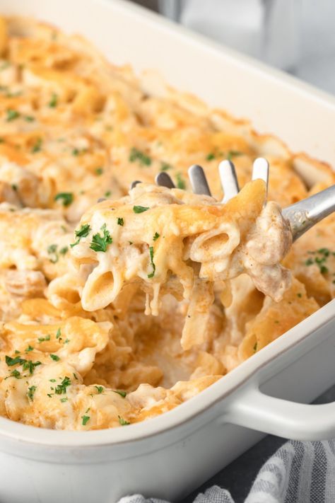 Pasta And Chicken Casserole Recipes, Casseroles For Big Families, Oven Baked Chicken Casserole, Main Pasta Dishes, Chicken Pasta Cheese Casserole, Chicken And Pasta Casseroles, Chicken Pasta Dump And Bake, Pasta Chicken Casserole Recipes, White Pasta Casserole