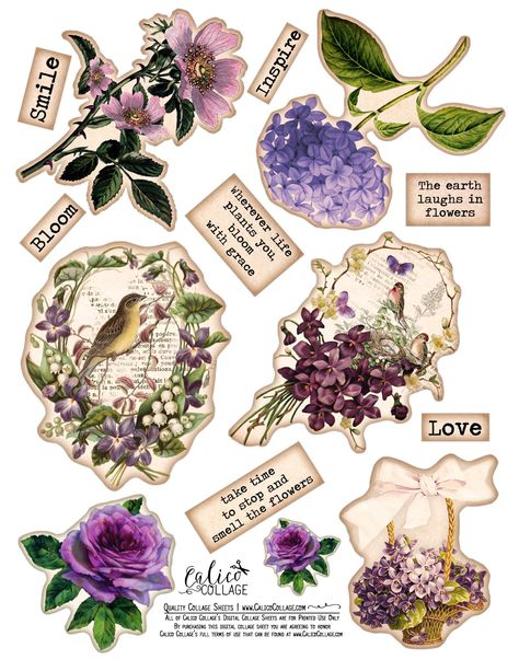 Calico Collage Freebie Free Paper Printables, Kertas Vintage, Free Printable Stationery, Scrapbook Printing, Free Printable Planner Stickers, Seni Vintage, Free Vintage Printables, Scrapbook Flowers, Scrapbook Book