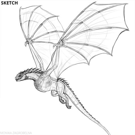 All Posts • Instagram Game Of Thrones Dragon Sketch, Targaryen Tattoo Dragons, Coatyl Dragon Drawing, Dragon Turnaround, Dragon How To Draw, Dragon Drawing Realistic, Dragon Drawing Reference Poses, Fantasy Dragon Drawing, House Of The Dragon Drawing