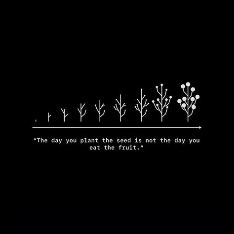 The day you sow the seed marks the beginning of your journey; it's a reminder that patience and perseverance are essential as you nurture your efforts to fruition. #Discipline #Motivation #SelfImprovement #Inspiration #Animation #GrowthMindset Boxing, Instagram, Discipline Motivation, Growth Mindset, The Beginning, Self Improvement, The Day, Quick Saves