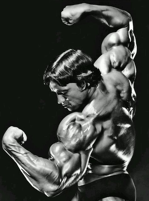 K Nature, Arnold Schwarzenegger Body, Arnold Wallpaper, Mr Olympia Winners, Arnold Photos, Arnold Schwarzenegger Bodybuilding, Schwarzenegger Bodybuilding, Arnold Classic, Mr Olympia