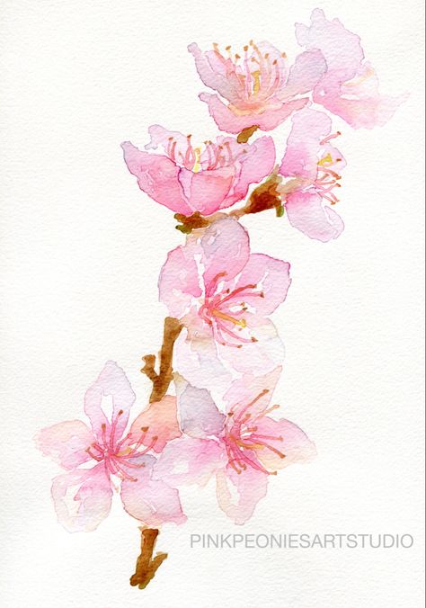 Kawaii, Plum Blossom Watercolor, Water Colour Cherry Blossom, Japanese Cherry Blossom Painting Easy, Painting Ideas Japanese, Easy Cherry Blossom Drawing, Easy Cherry Blossom Painting, Japanese Art Easy, Japanese Painting Easy