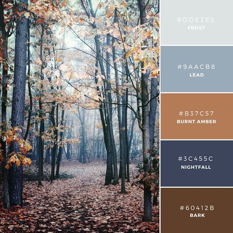 Build Your Brand: 20 Unique and Memorable Color Palettes to Inspire You – Design School Cold Colors Aesthetic, Terra Cotta And Navy, Luxury Boho, Palette Design, Brand Color Palette, Unique Color Combinations, Colour Pallette, Colour Pallete, Living Room Color