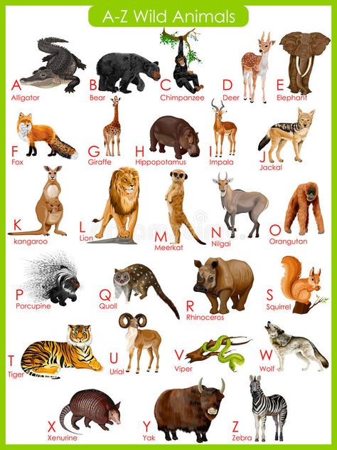 Illustration about Easy to edit vector illustration of chart of A to Z wild animals. Illustration of editable, animal, conservation - 55756259 Animals Name List, Wild Animals List, Animal List, Herbivorous Animals, Animals Name In English, Animal Pictures For Kids, Wild Animals Vector, Zoo Activities, Animal Flashcards