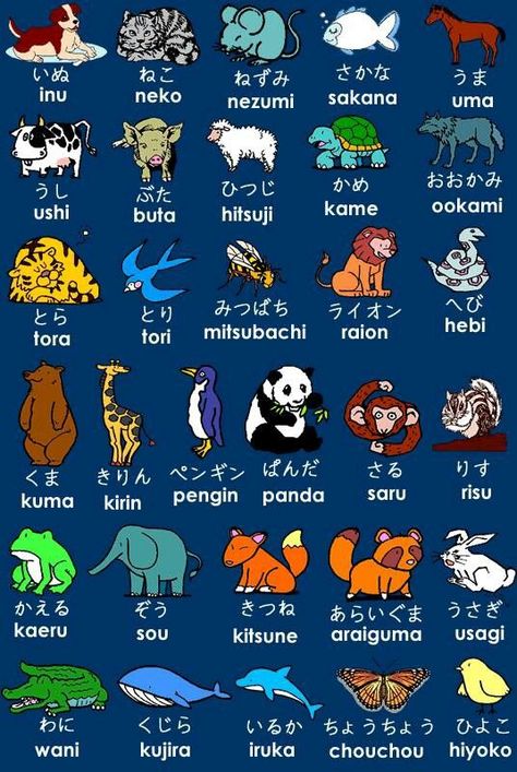 RT @UIC_FL: Animals in #JapaneseLanguage #LearnJapanese Learn Japan, Bahasa China, Bahasa Jepun, Materi Bahasa Jepang, Japanese Animals, Basic Japanese Words, Japanese Language Lessons, Turning Japanese, Learn Japanese Words