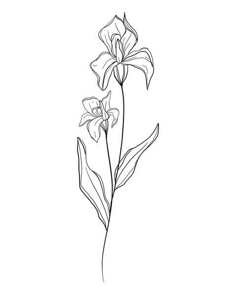 Birth Month Flowers | Iris | February #tattooideas #tattoosforwomen Iris Flower Line Drawing, Iris And Peony Tattoo, Irises Flowers Drawing, February Iris Flower Tattoo, Birth Month Flower Tattoos February, Irises Flowers Tattoo, Iris Flowers Drawing Tattoo Ideas, Simple Iris Tattoo Outline, February Month Flower