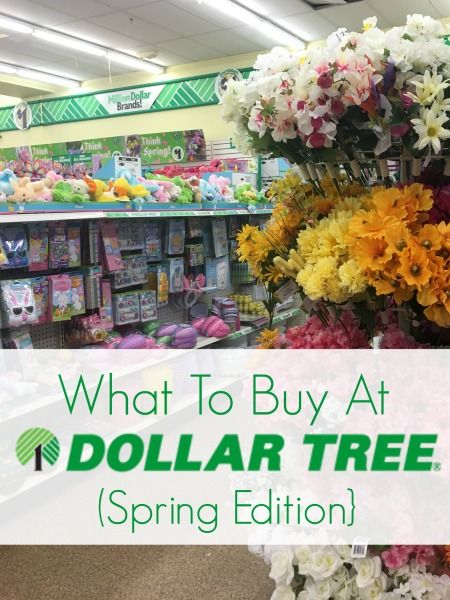 Look for these $1 spring finds at your Dollar Tree! (Dollar Tree Spring Edition) Easter Decor Dollar Tree, Spring Dollar Store Crafts, Dollar Tree Easter Decor, Dollar Tree Easter Crafts, Home Meals, Dollar Tree Finds, Easter Decorations Dollar Store, Easter Decorations Christian, Meal Delivery Service