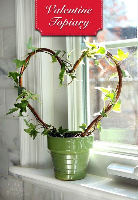 A tutorial to show you how easy it is to create a heart shaped topiary with ivy clippings @prettyhandygirl Valentine Topiary, Indoor Plant Trellis, Topiary Diy, Topiary Plants, Diy Heart, Diy Trellis, Pretty Heart, Trellis Plants, Topiaries